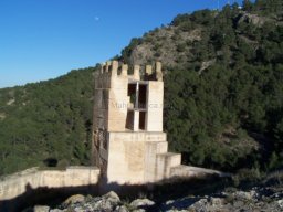 Castillo de Pliego 2009